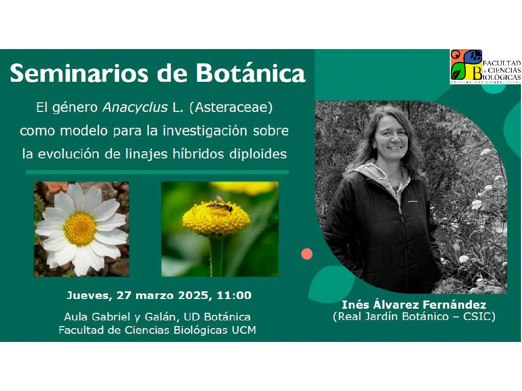 Seminarios de Botánica: El género Anacyclus  L. (Asteraceae) como modelo para la investigación sobre la evolución de linajes híbridos dipoloides. Inés Álvarez (CSIC)